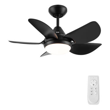 POLYECO 30'' Ceiling Fan with LED Lights | Wayfair